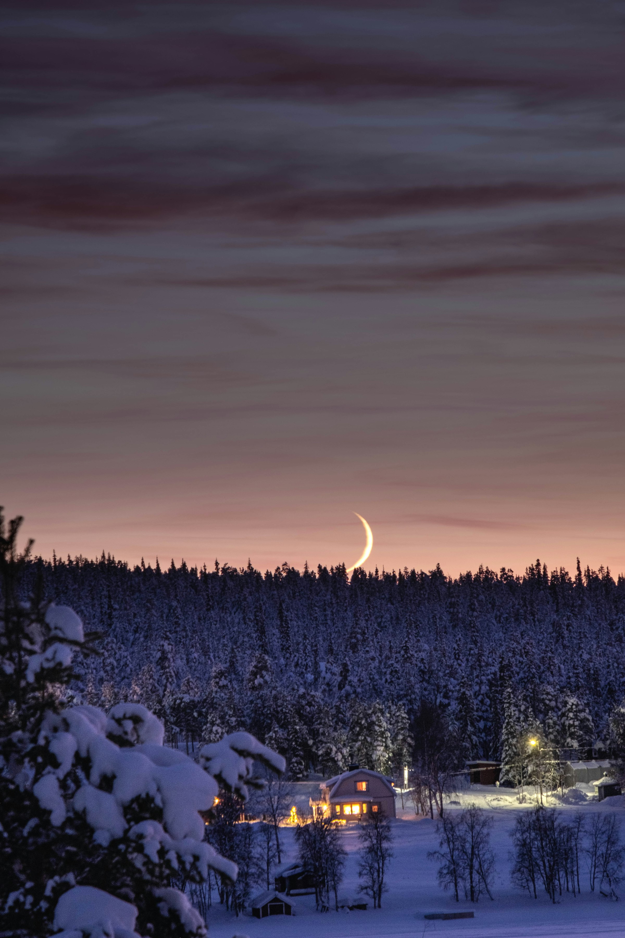 Vårvinter — late light on the trees
